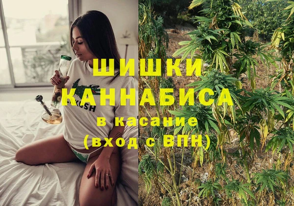 соль ск Липки