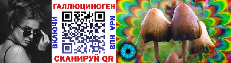 Галлюциногенные грибы Psilocybe Фурманов